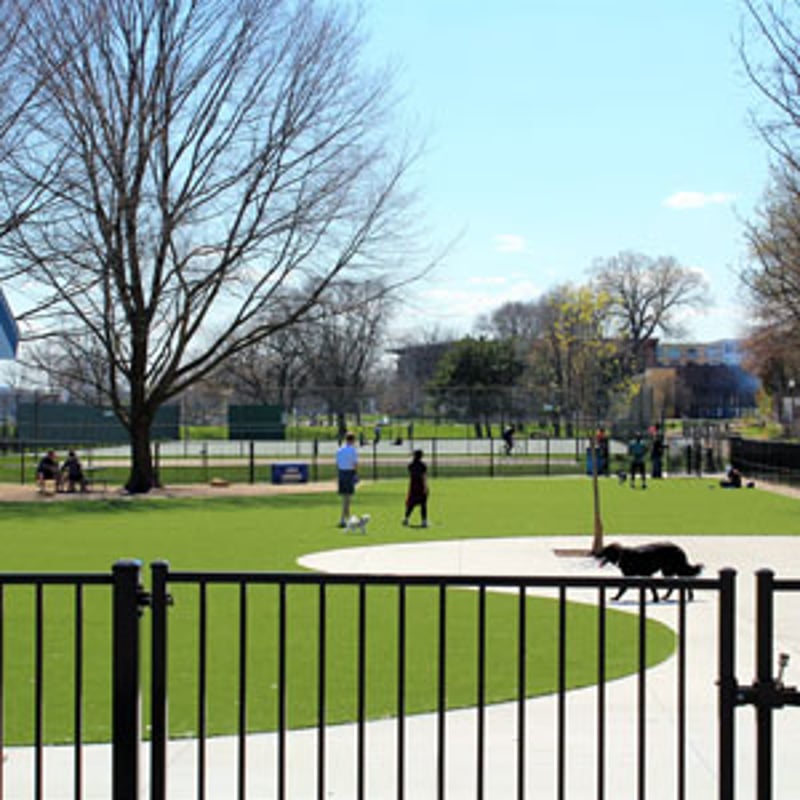 Brittingham Dog Park preview 4